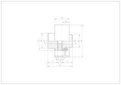 XLL spider type coupling