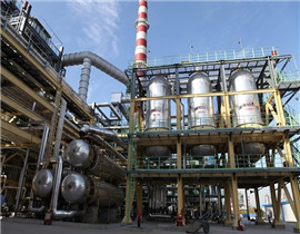 原料预处理反应器Raw material pretreatment reactor.jpg
